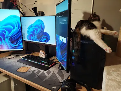 Freelancer SEO Rafał Pietraszek